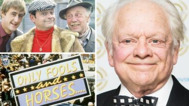 Photo of David Jason highlights Only Fools and Horses regret: ‘Show went on too long’