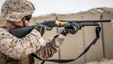 Photo of Best Pump-Action Shotgun: Field & Home Defense [2023]