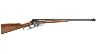 Photo of The Winchester Model 1895